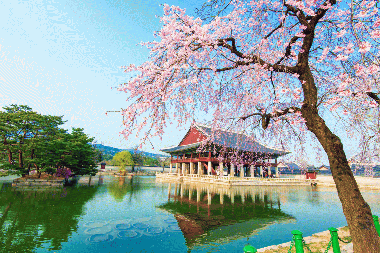 Spring In South Korea